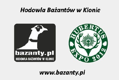 Bazanty.pl na HUBERTUS EXPO 2012 w Warszawie